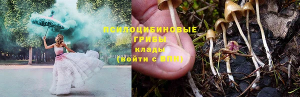 спиды Алексеевка